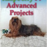 Raspberry Pi Advanced Projects