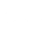 logo_3-1